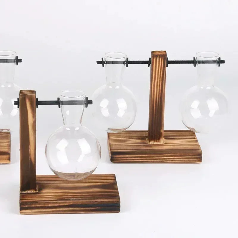 Hydroponic Plant Terrarium