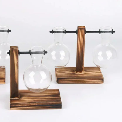 Hydroponic Plant Terrarium