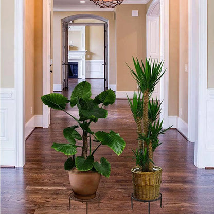 Metal Plant Stand
