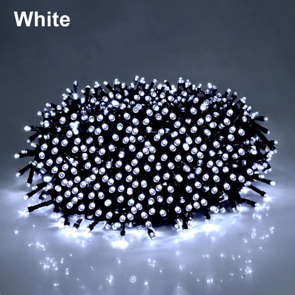 Holiday 24V LED Christmas Lights