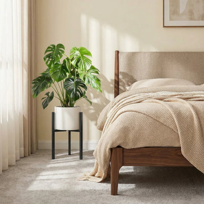 Indoor Plant Stand