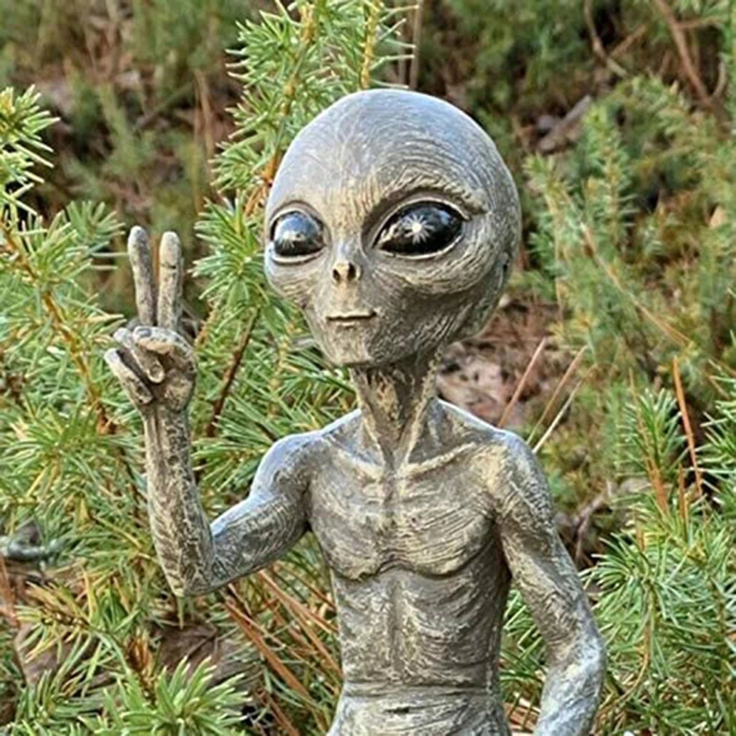 Outdoor Space Alien Statues