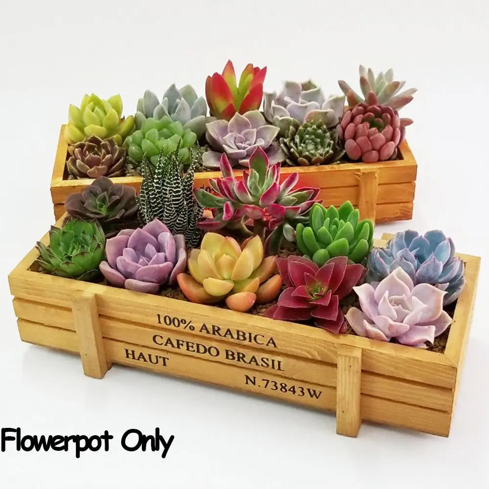 Garden Decor