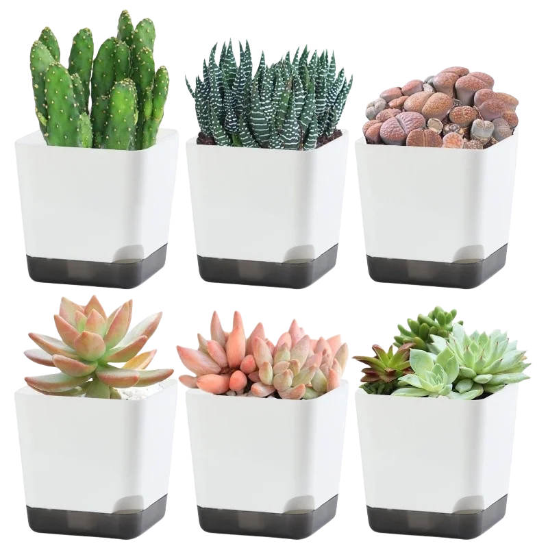 5Pcs Plant Pots