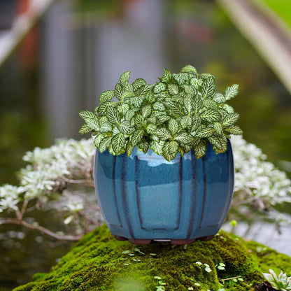 Ceramic Garden Planter