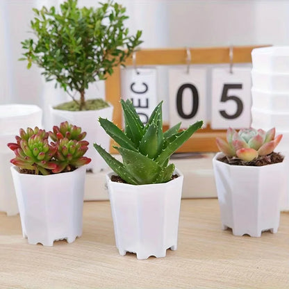 10/20pcs Octagonal Flower Pots
