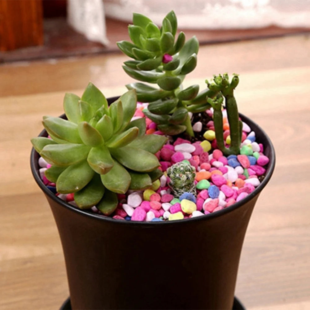 10 Pcs Black Round Flower Pots