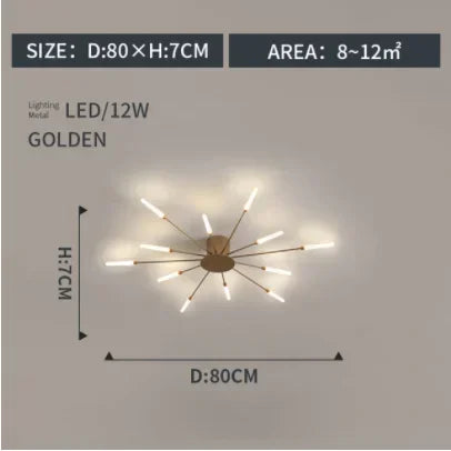Modern LED Ceiling Lamp
