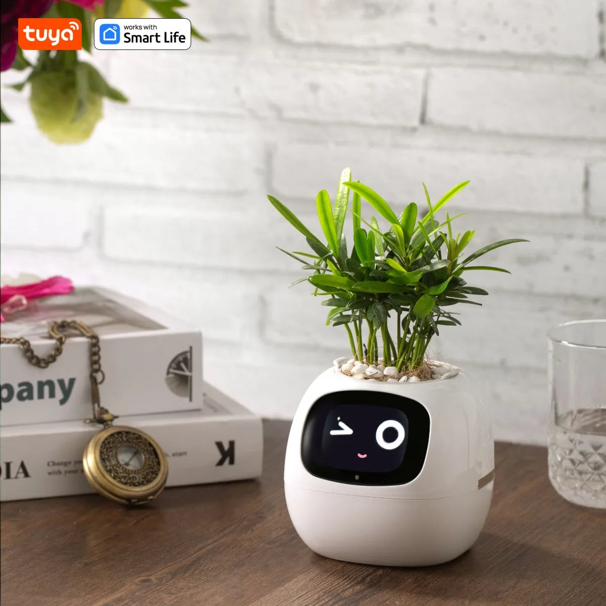 White Smart Planter,
