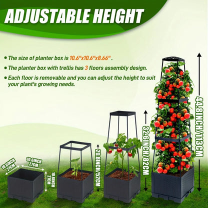 Tomato Plant Box with Climbing Frame