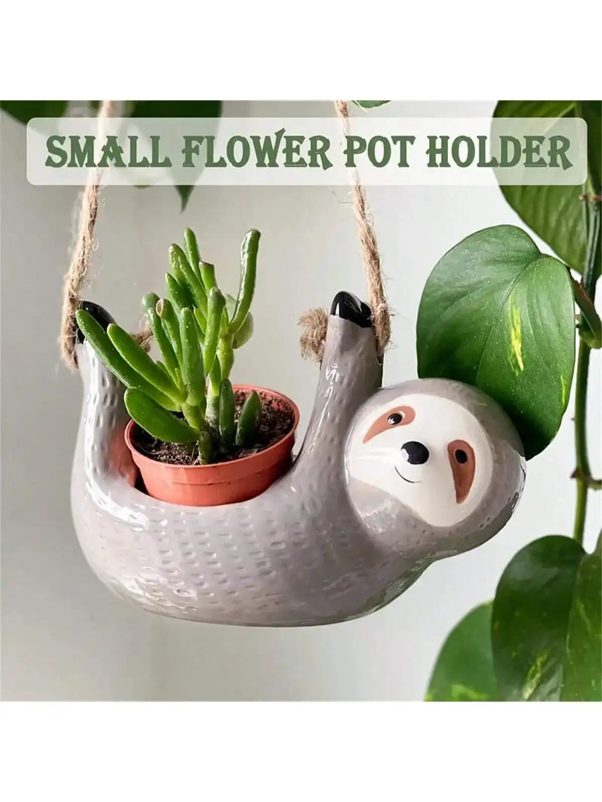 1 Hanging Pots Indoor