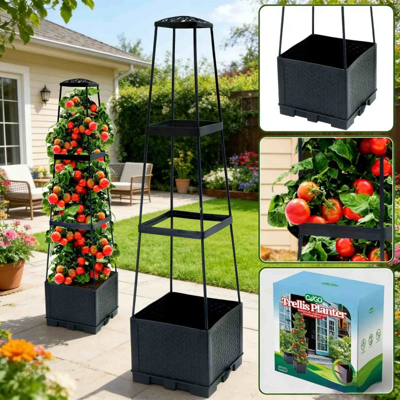 Tomato Plant Box with Climbing Frame