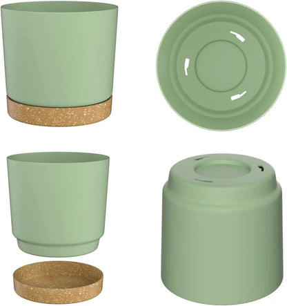 Plant POTS,