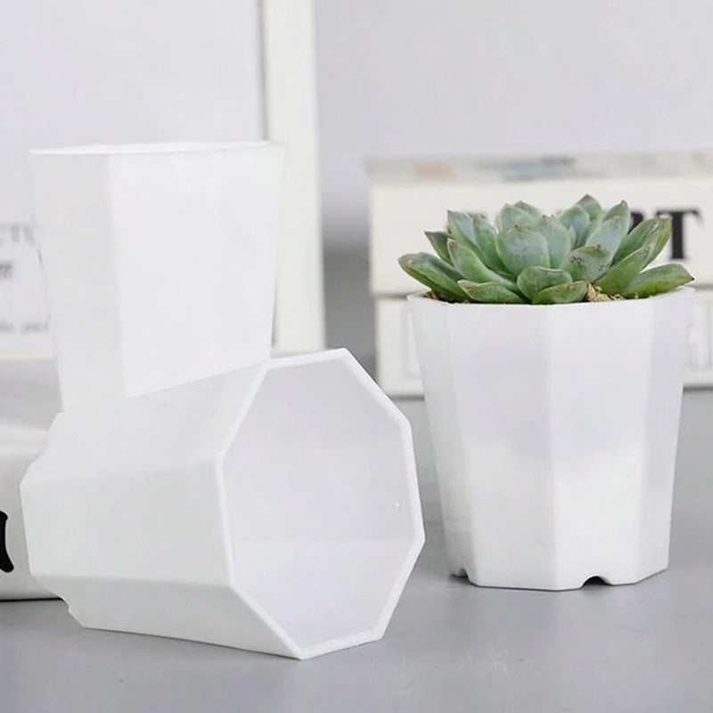 10/20pcs Octagonal Flower Pots