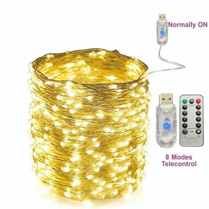 Holiday Fairy Lights