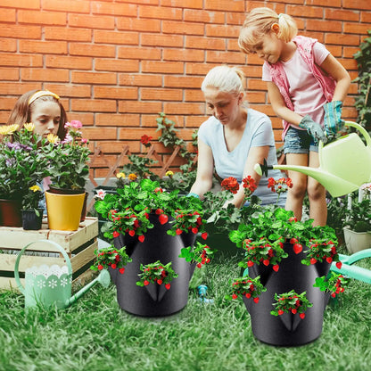 Strawberry Pots And Planters