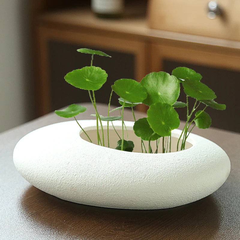 Decorative Pots