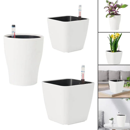 Seedling Nursery Pots