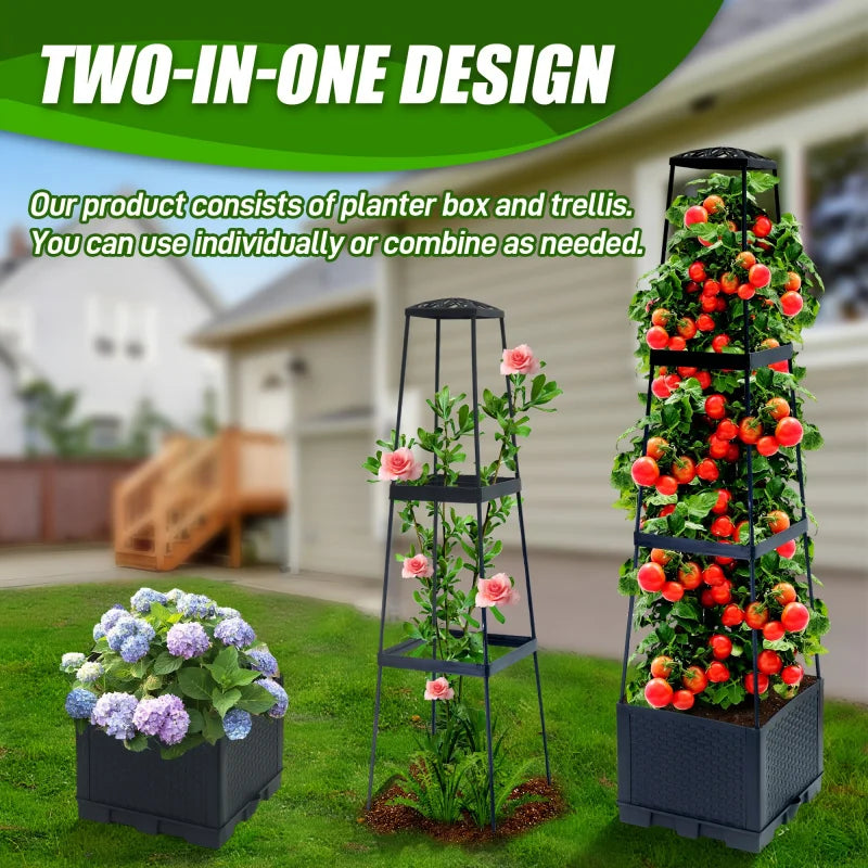 Tomato Plant Box with Climbing Frame