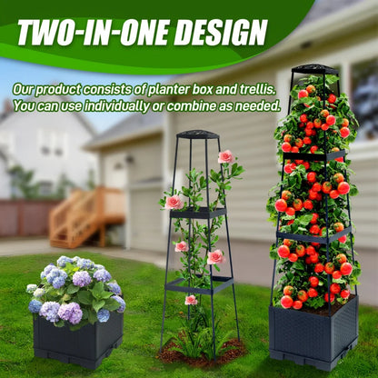 Tomato Plant Box with Climbing Frame