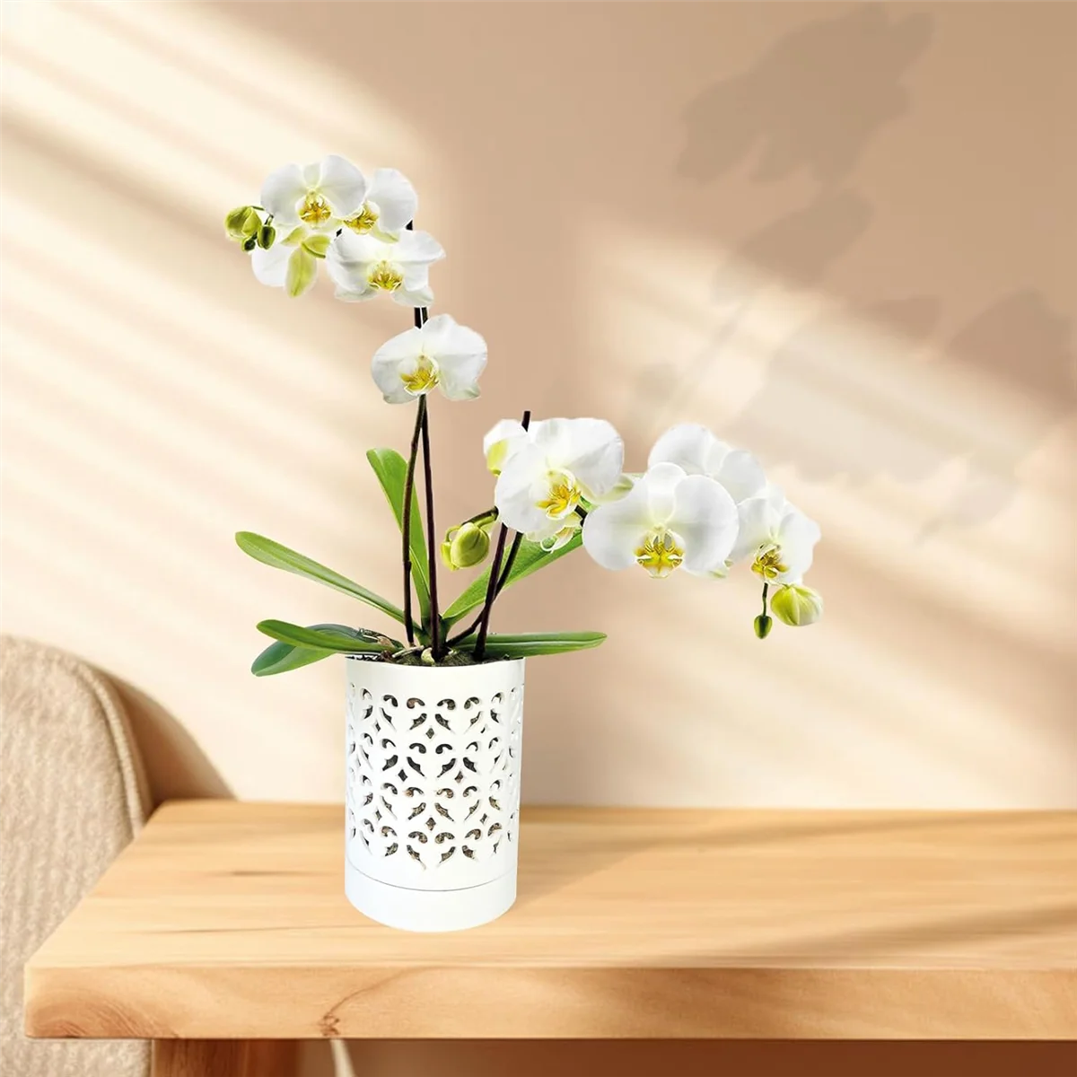 Orchid Pots with Holes