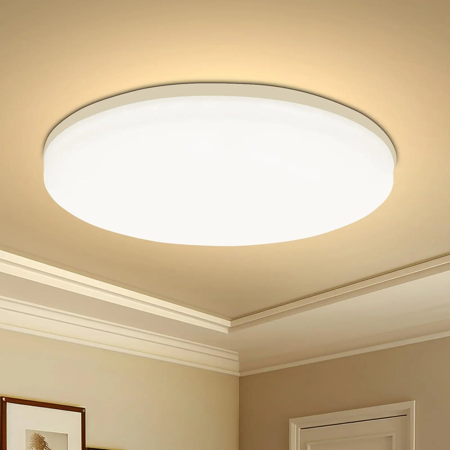 Round LED Ceiling Light