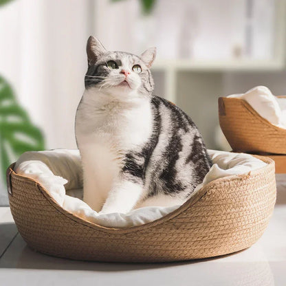 Pet Bed