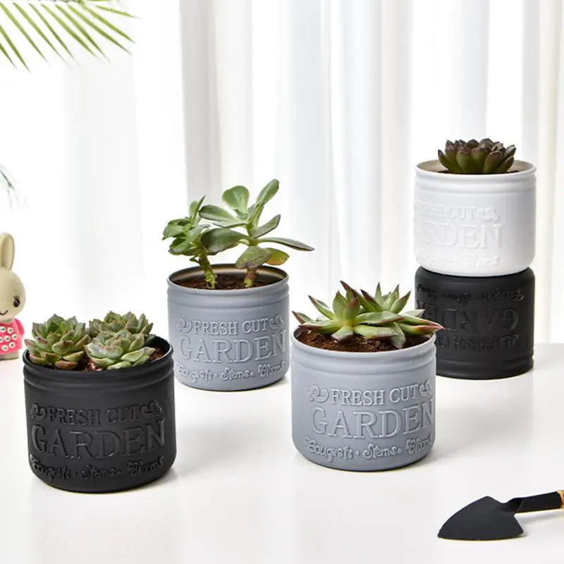 1Pc Flower Pot
