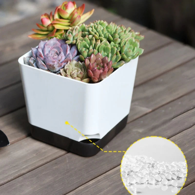 5Pcs Plant Pots