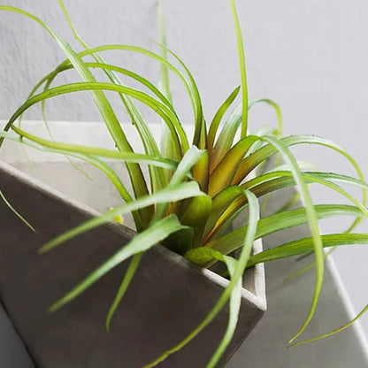 Wall Art Vases