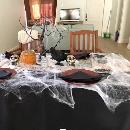 Artificial Spider Web