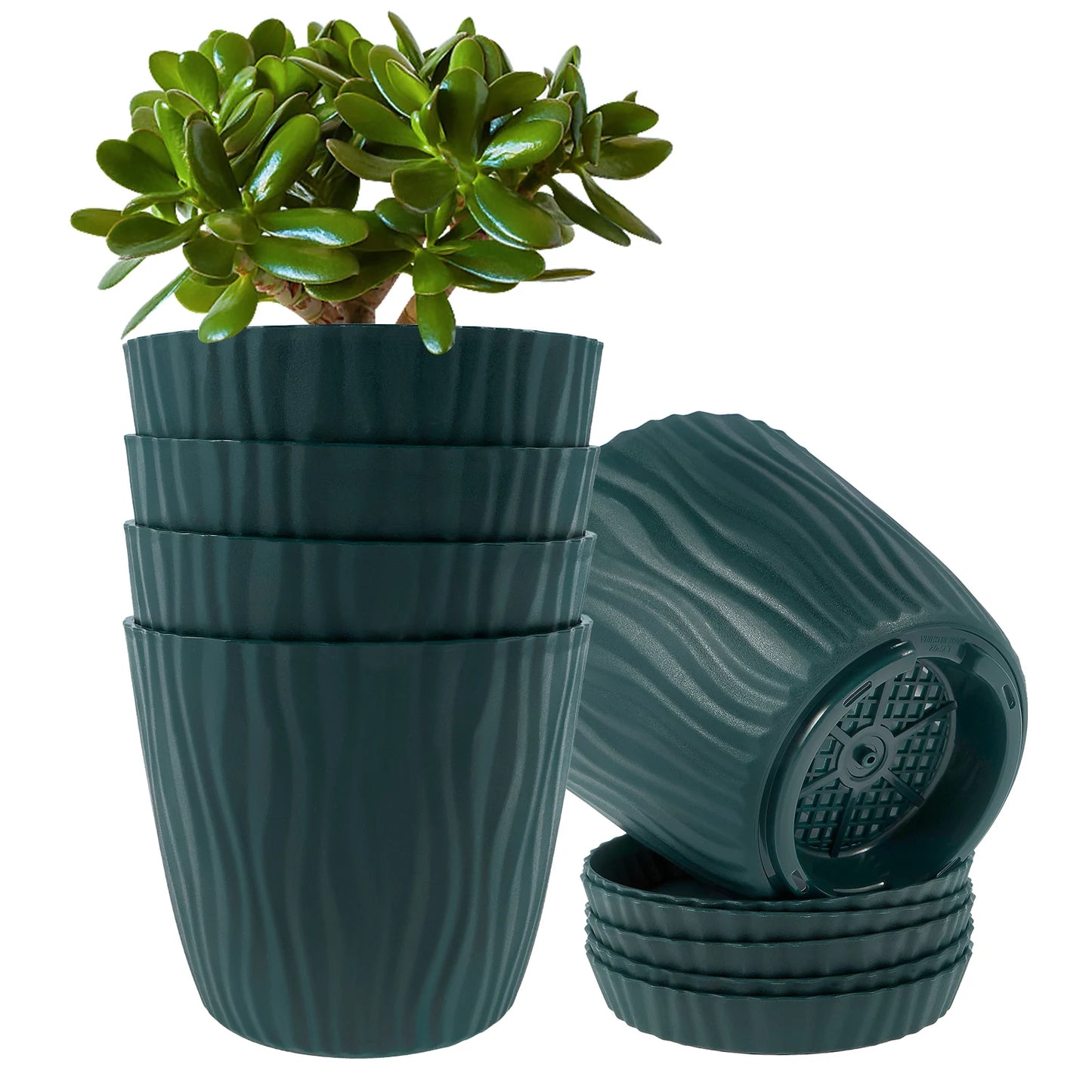 5Pcs Set Flower Pot
