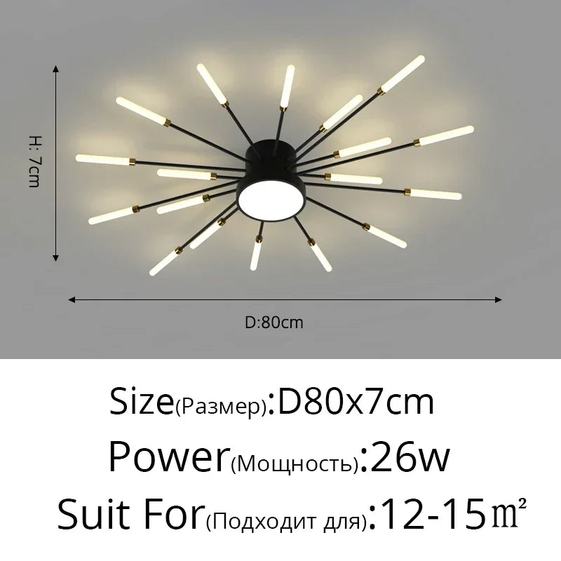 Modern LED Ceiling Lamp