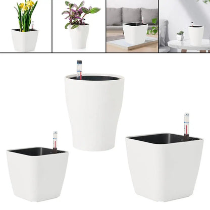Seedling Nursery Pots