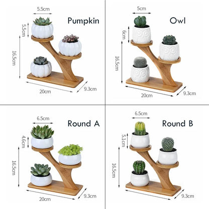 1 Set Ceramic Owl or Pumpkin Ceramic Pots