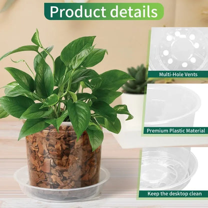 72pcs/set Clear Nursery Pots