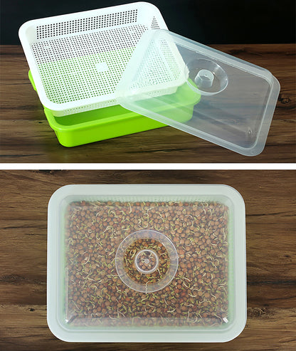 Seed Sprouter Tray Double Layer
