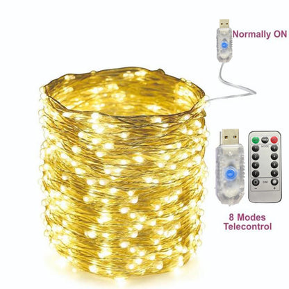 Holiday Fairy Lights