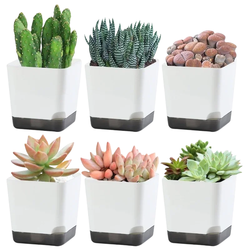 5Pcs Plant Pots, Self Watering Flower Pots