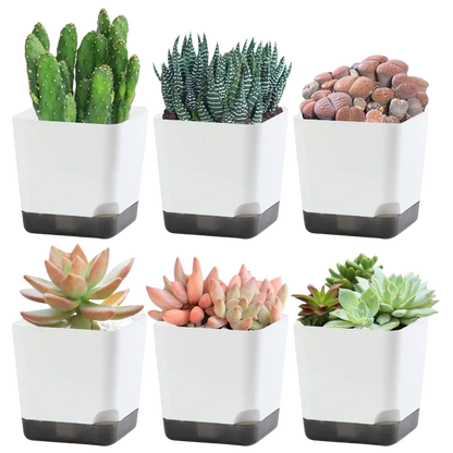 5Pcs Plant Pots, Self Watering Flower Pots