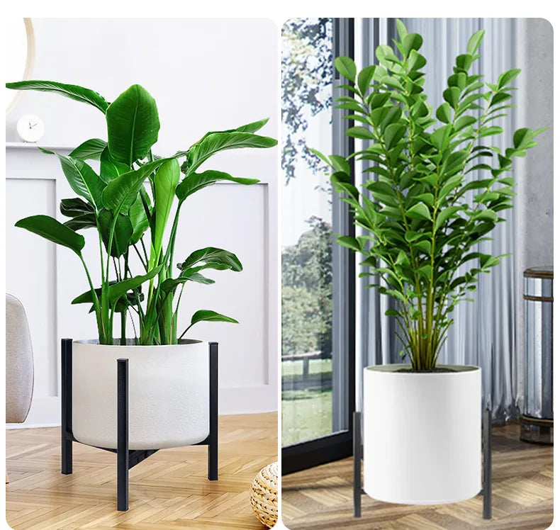 Indoor Plant Stand