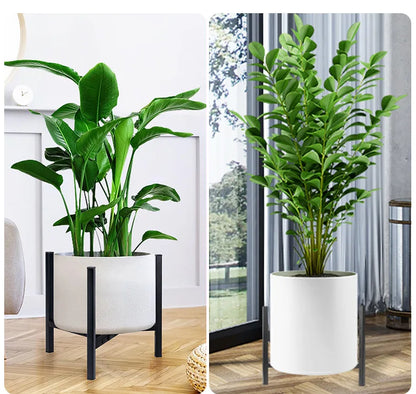 Indoor Plant Stand