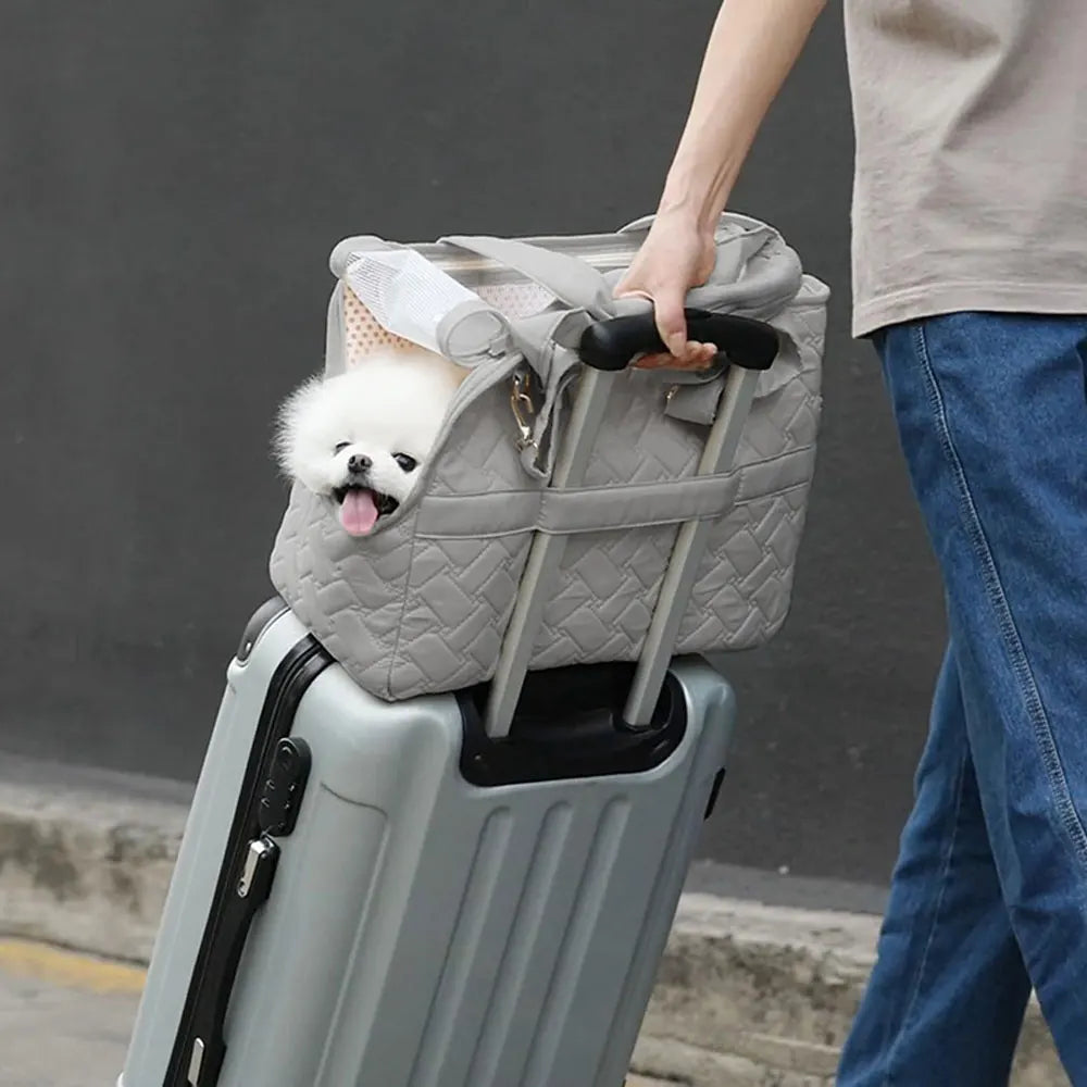 Portable Carrier for Small Pets