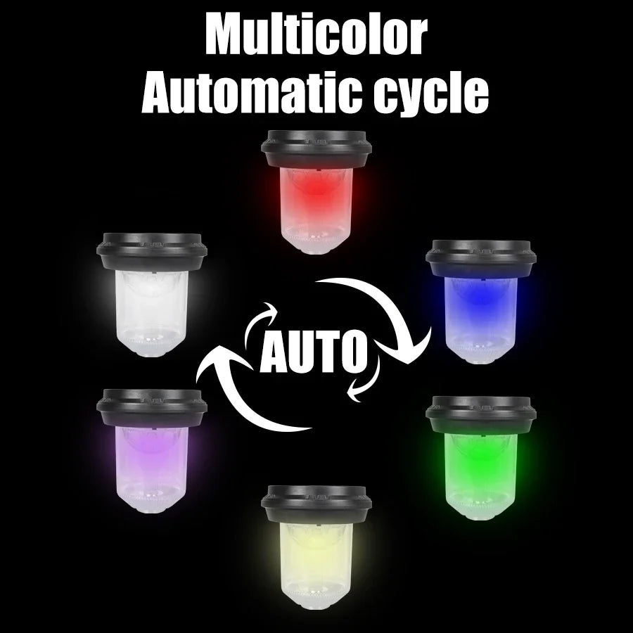 Solar Outdoor Lights
