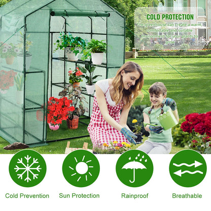 Plant Gardening Greenhouse