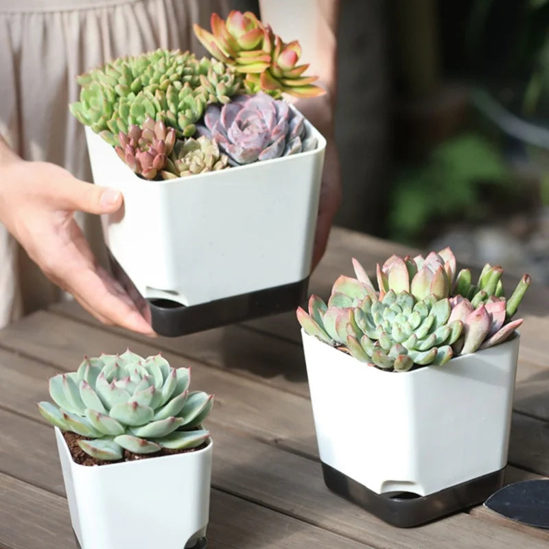 5Pcs Plant Pots