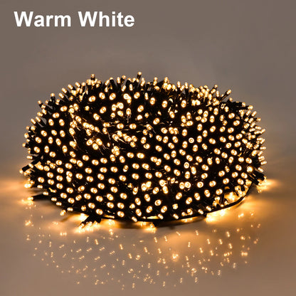 Holiday 24V LED Christmas Lights