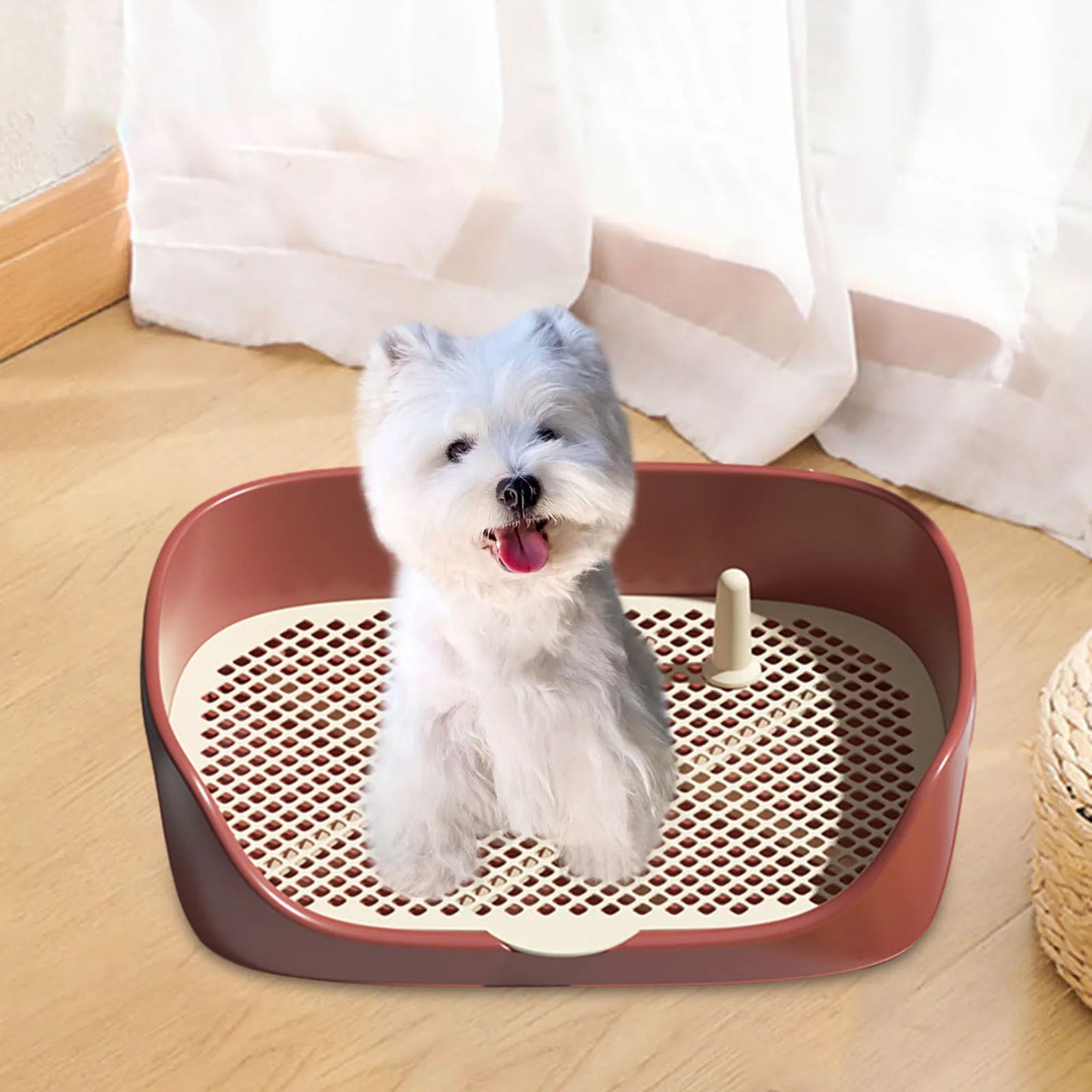 Pet Toilet