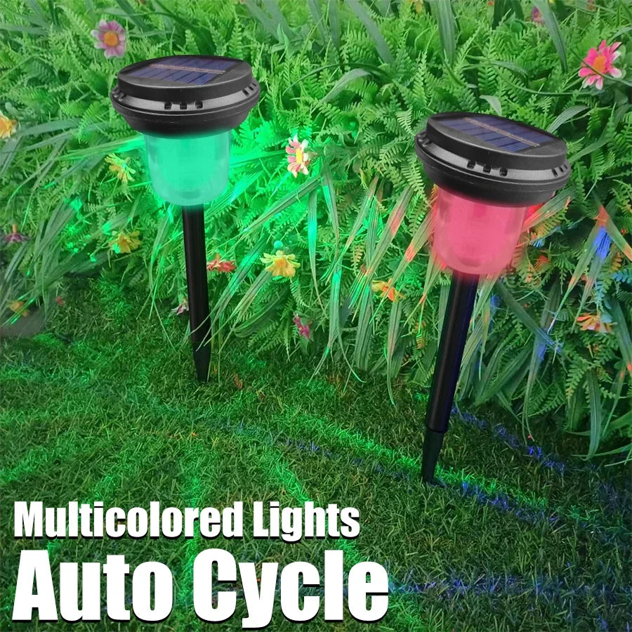 Solar Outdoor Lights