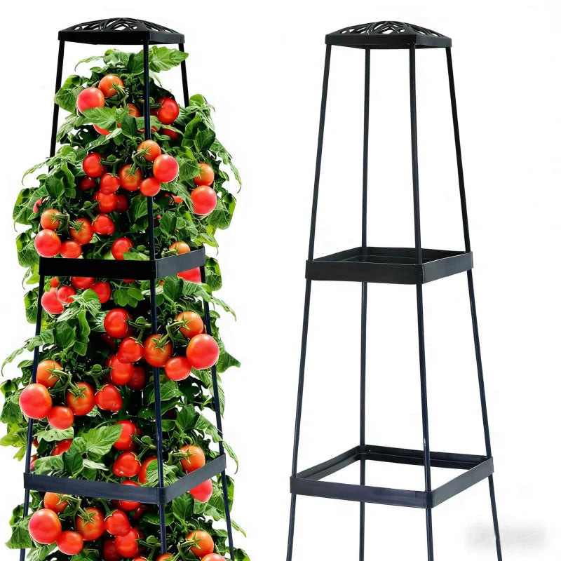 Tomato Plant Box with Climbing Frame